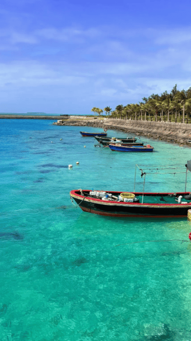 岛号邮轮攻略 + 价格明细 + 预订要点