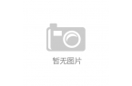 竞争格局及未来发展趋势与前景分析2024